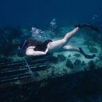 Highlights of Mexico and Central America!!